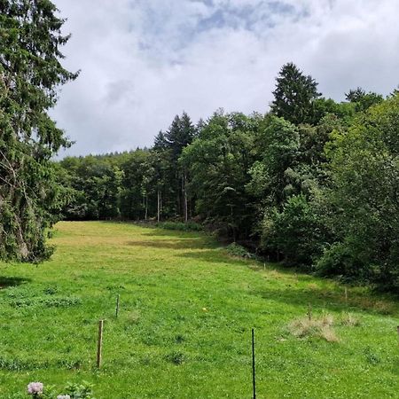 Bellavista Daire Badenweiler Dış mekan fotoğraf