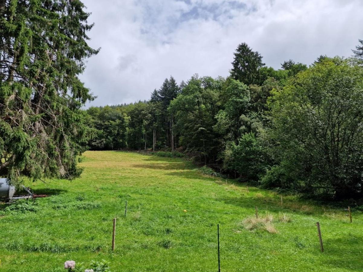 Bellavista Daire Badenweiler Dış mekan fotoğraf